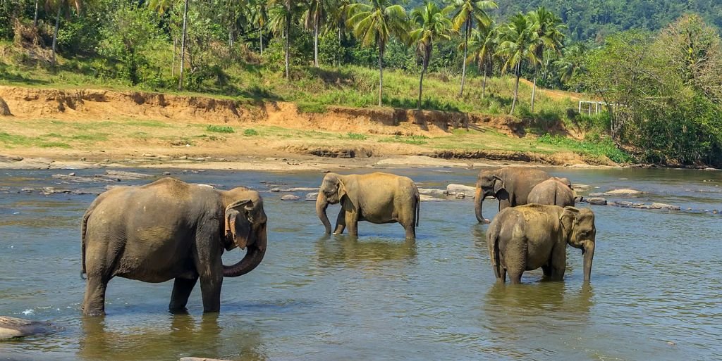 Singapore Airlines Sri Lanka Office