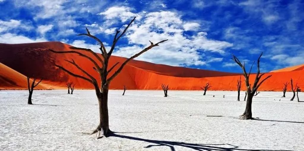 British Airways Namibia Office