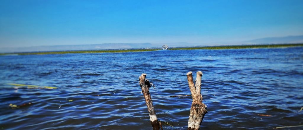 Ethiopian Airlines Hawassa Office