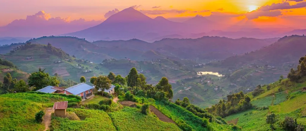 Qatar Airways Uganda Office