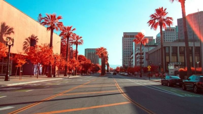 Turkish Airlines San Jose Office in California