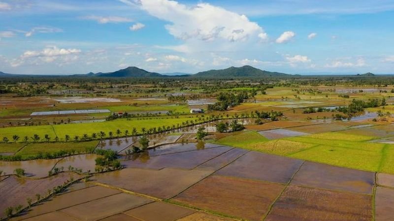 Pal Airlines Leyte Office Address