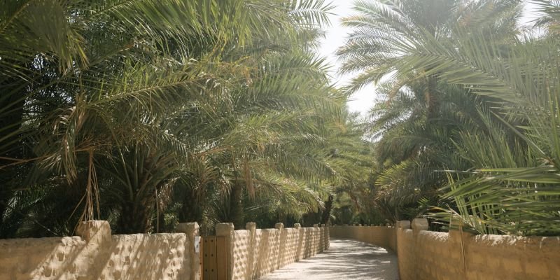 Austrian Airlines Al Ain Office In UAE