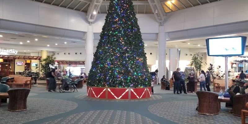 KLM Airlines MCO Terminal