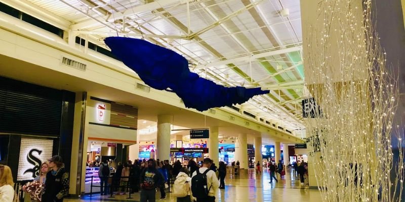 Turkish Airlines MDW Terminal