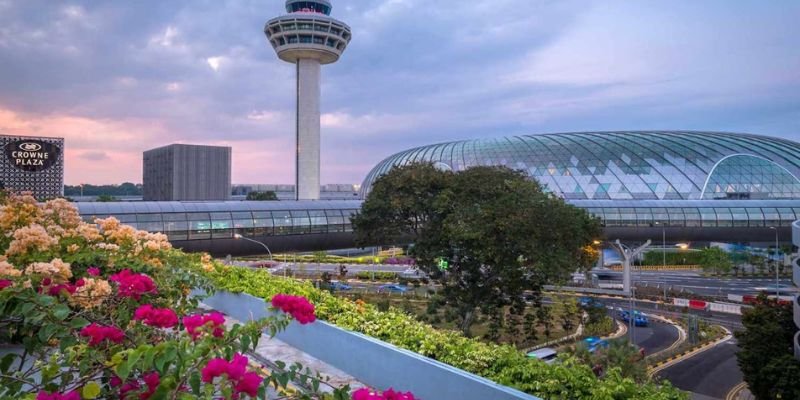 Turkish Airlines SIN Terminal