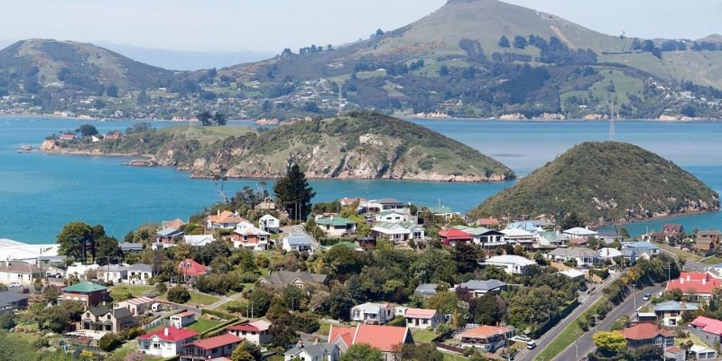 Air New Zealand Dunedin Office