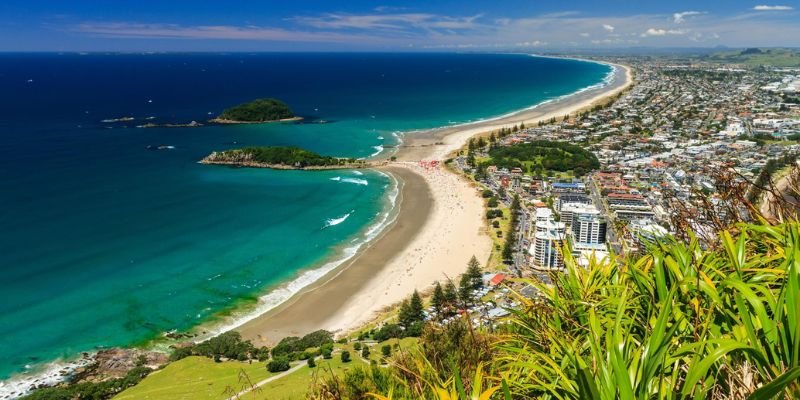 Air New Zealand Tauranga Office