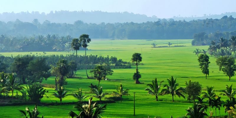 Air India Express Palakkad Office